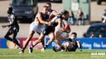 Round 6 vs Adelaide Crows Image -572768ad654f9